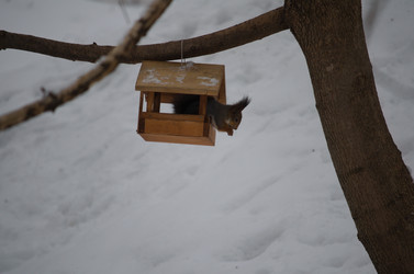 Similar image 22050019