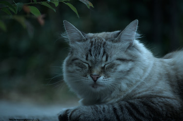 Similar image 22050020