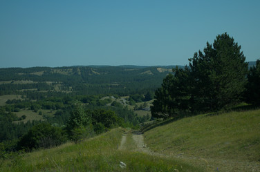 Similar image 22050021