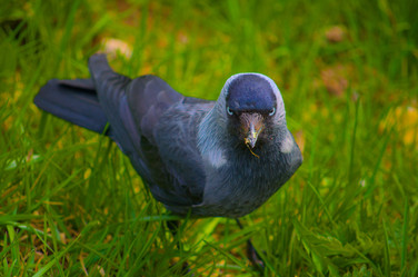 Similar image 22050024