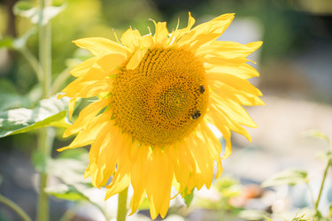 Similar image 22047265