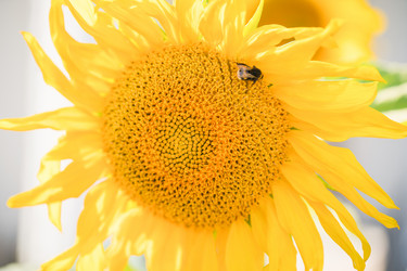 Similar image 22047266