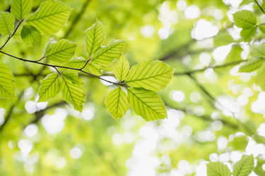 Similar image 22047268