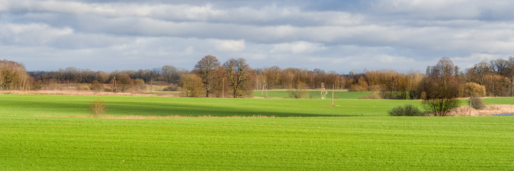 Similar image 22047269