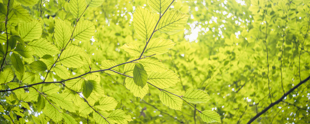 Similar image 22047270