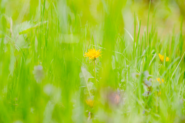 Similar image 22047271