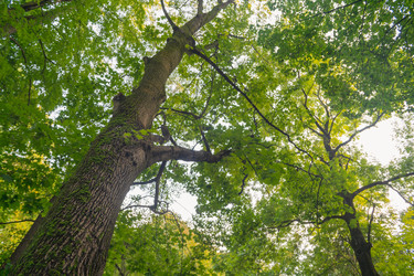 Similar image 22047272