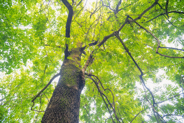 Similar image 22047273