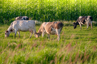 Similar image 22047274