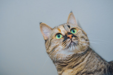 Similar image 22047275