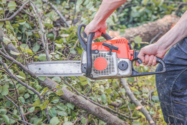 Similar image 22047281