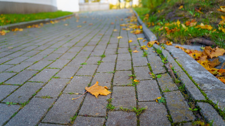 Similar image 22047283