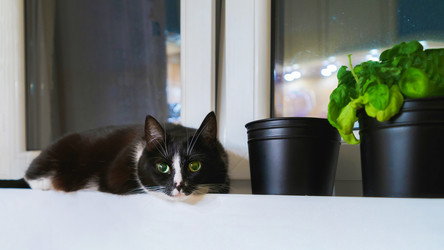 Similar image 22047284