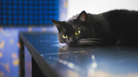 Similar image 22047285