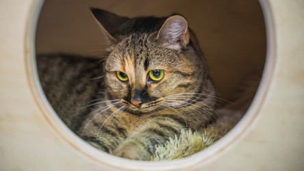 Similar image 22047290