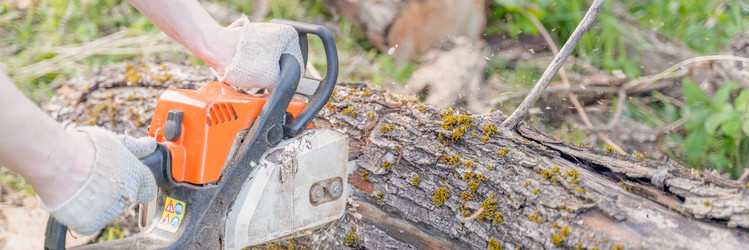 Similar image 22047301