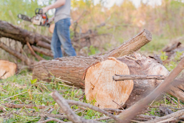 Similar image 22047309