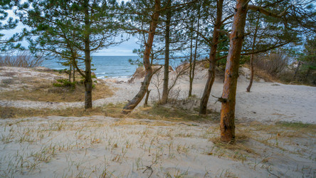 Similar image 22047312