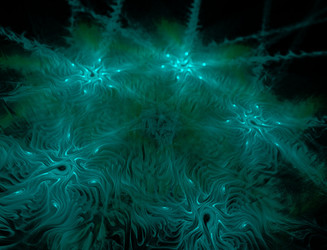 Similar image 22047490