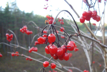 Similar image 22048769