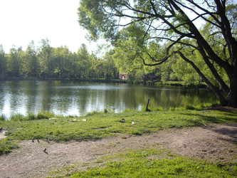 Similar image 22048773