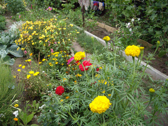 Similar image 22048777