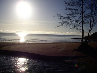 Similar image 22046629