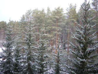 Similar image 22046630