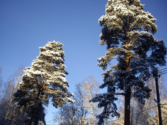 Similar image 22046632