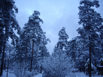 Similar image 22046636