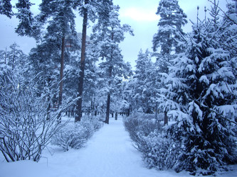 Similar image 22046637