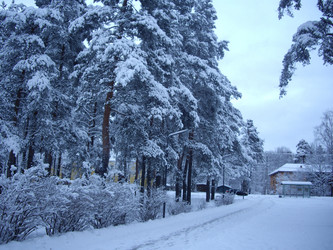 Similar image 22046638