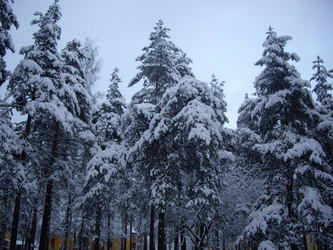 Similar image 22046639