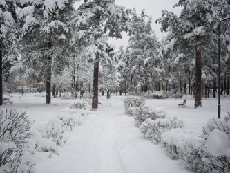 Similar image 22046640