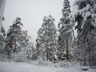 Similar image 22046641