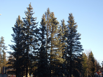 Similar image 22046644