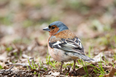 Similar image 22046671