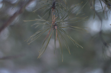 Similar image 22056052