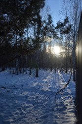 Similar image 22056053