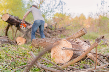 Similar image 22047327