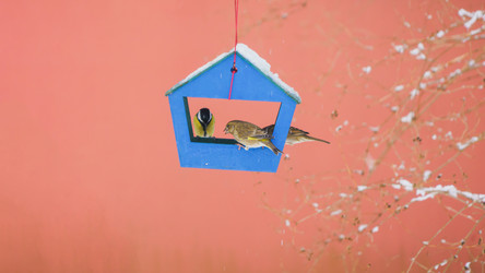 Similar image 22047330