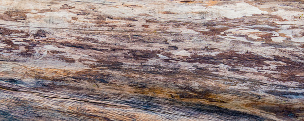 Similar image 22047331