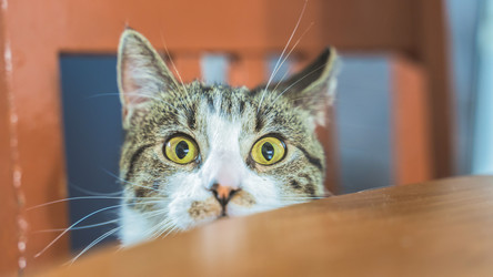 Similar image 22047333