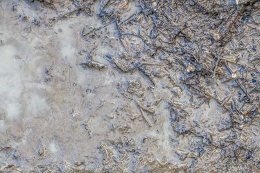 Similar image 22047335