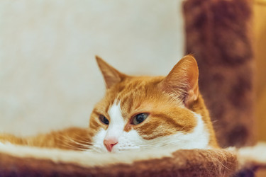 Similar image 22047343