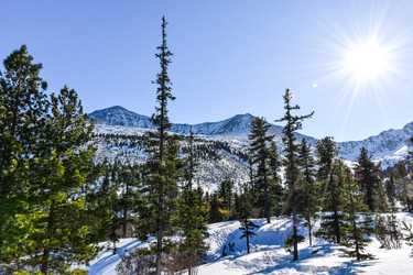 Similar image 22047496