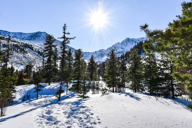 Similar image 22047497