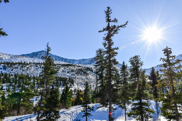 Similar image 22047498