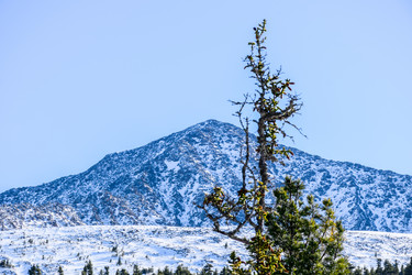 Similar image 22047499