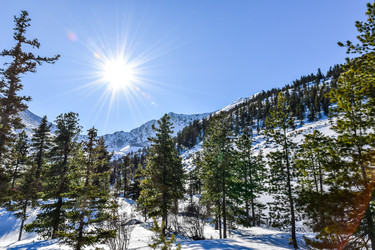 Similar image 22047500